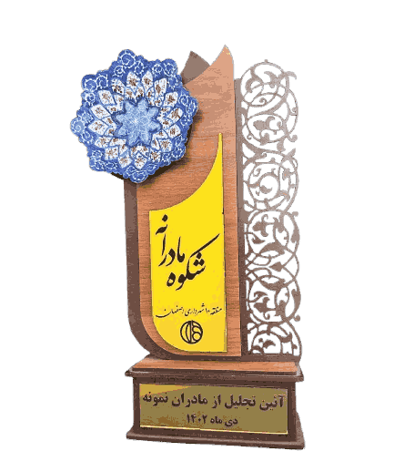 افتخارات و سوابق