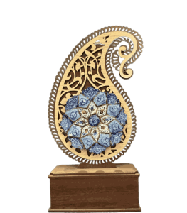 افتخارات و سوابق